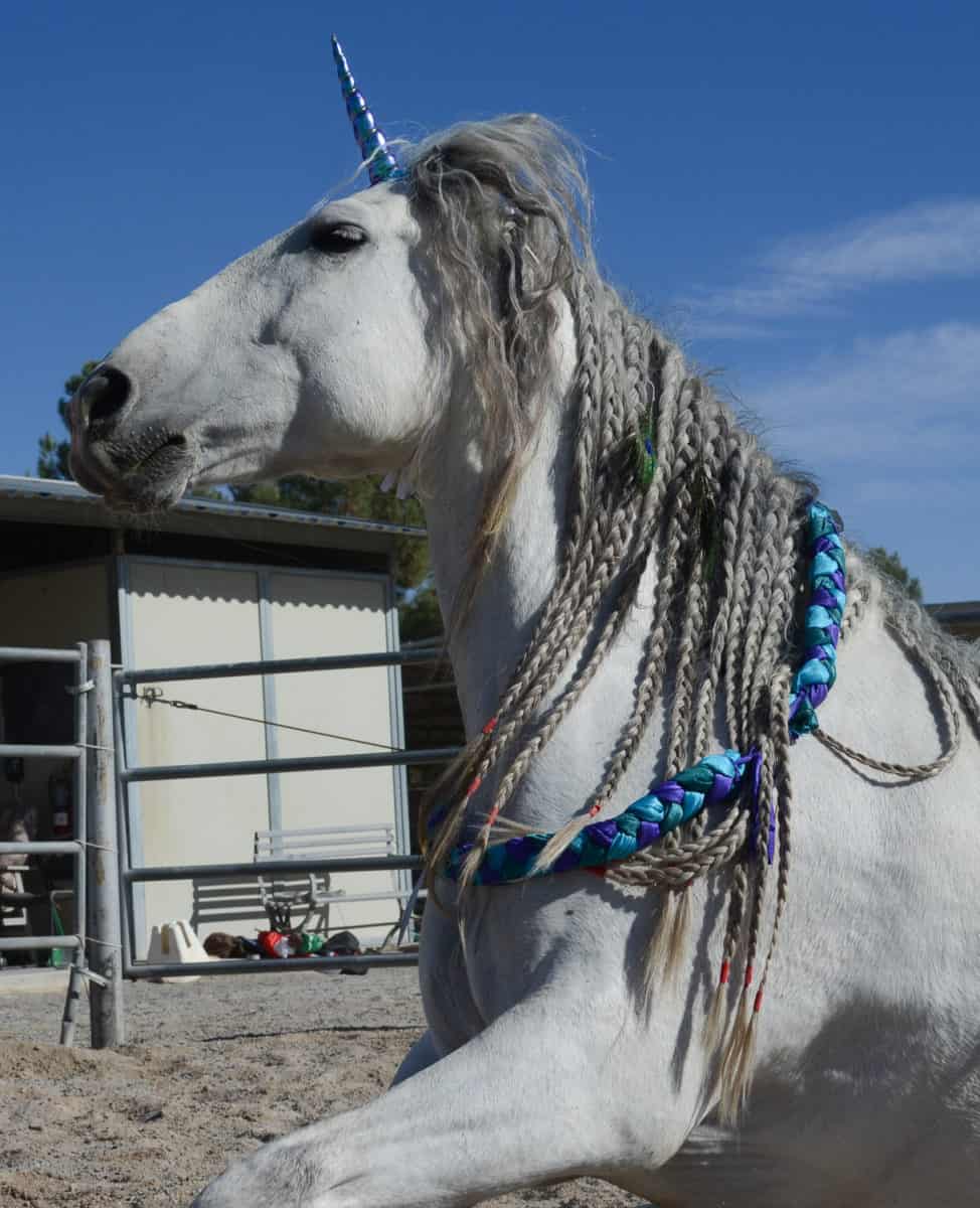 Unicorn Deluxe Kit
