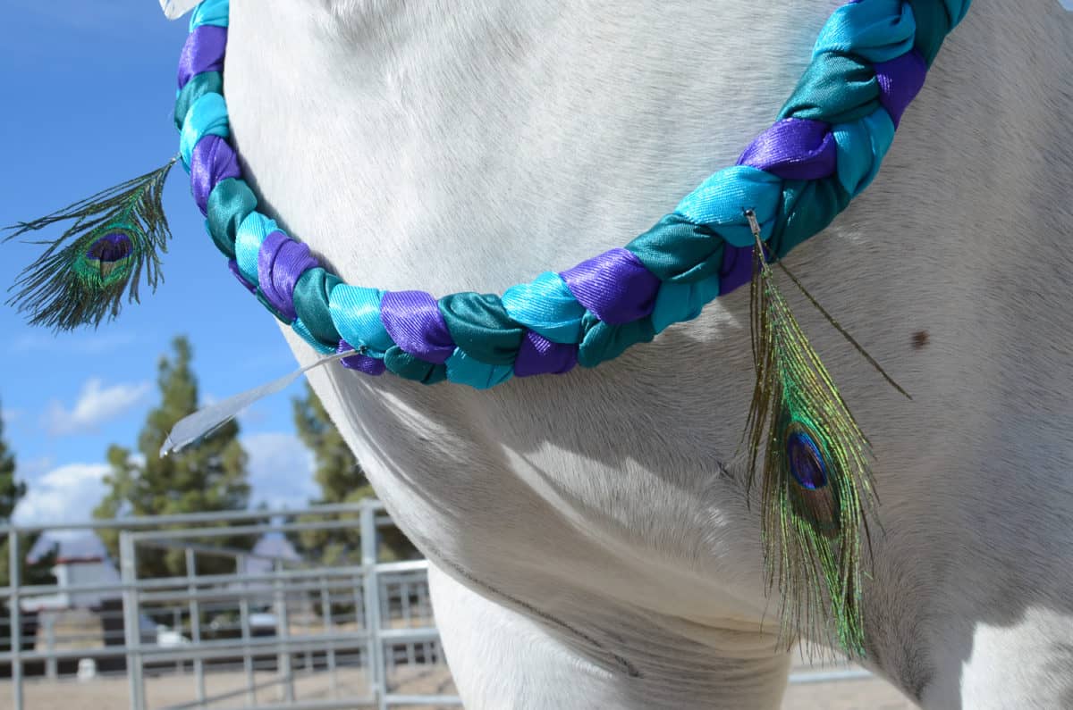 Feather Neck Wreath