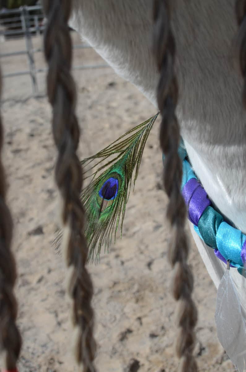 Feather Neck Wreath