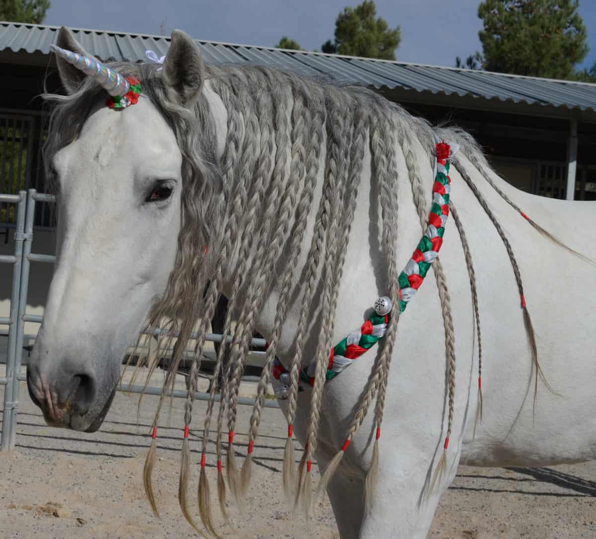 Christmas Neck Wreath