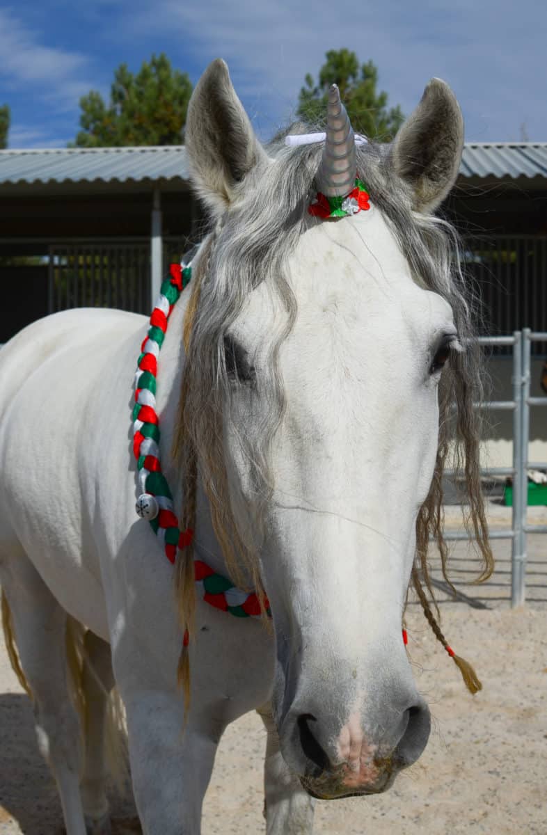 Christmas Neck Wreath