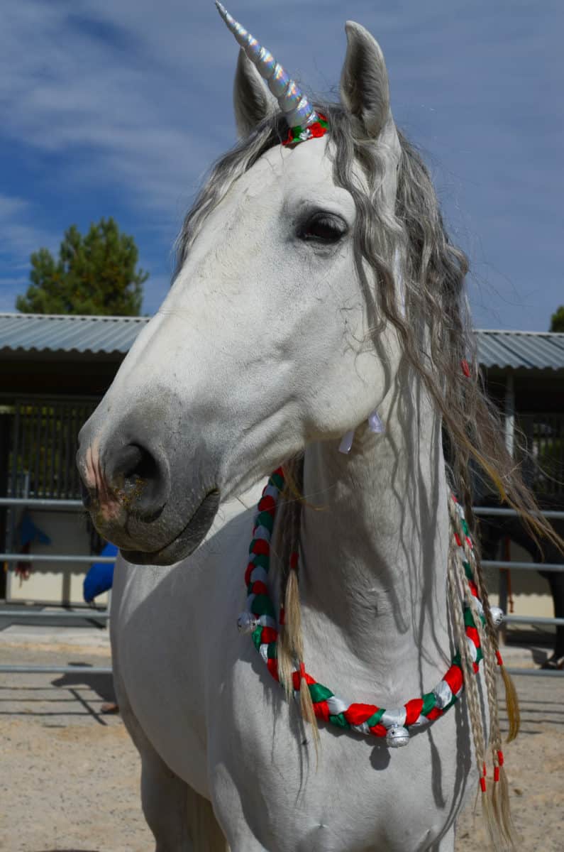 Christmas Neck Wreath