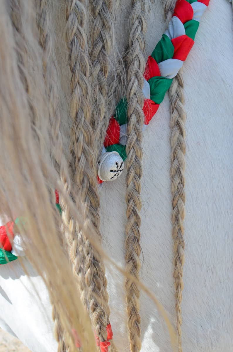 Christmas Neck Wreath