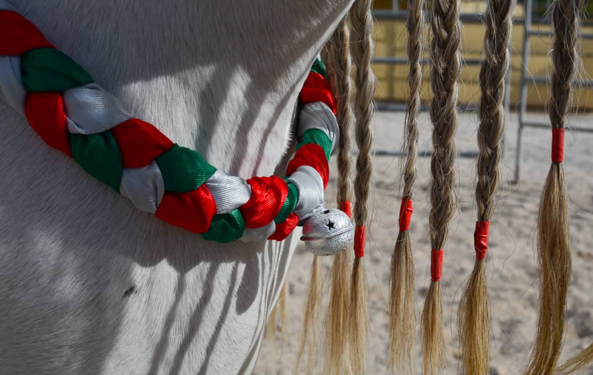 Christmas Neck Wreath