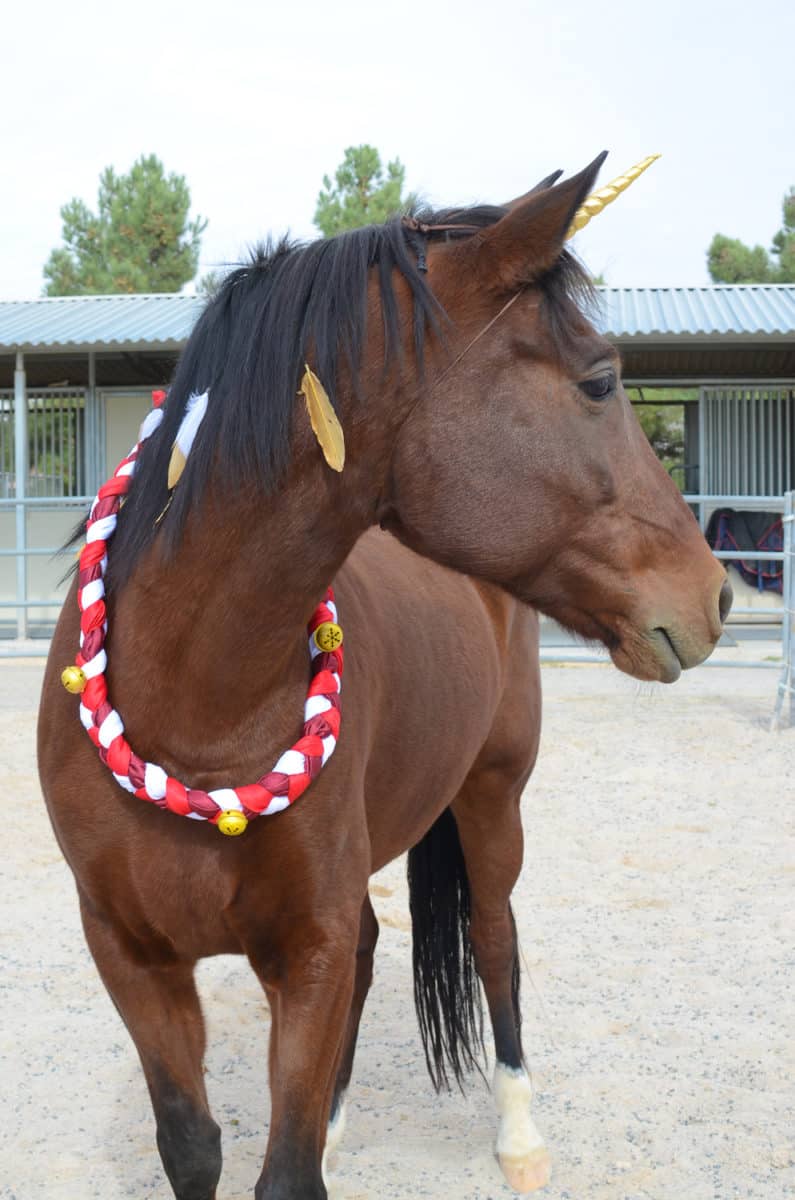 Christmas Neck Wreath
