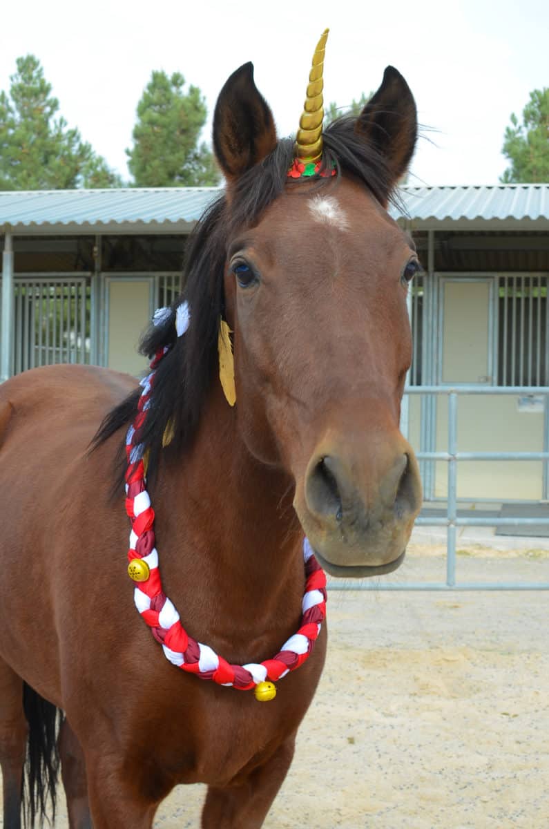 Christmas Neck Wreath