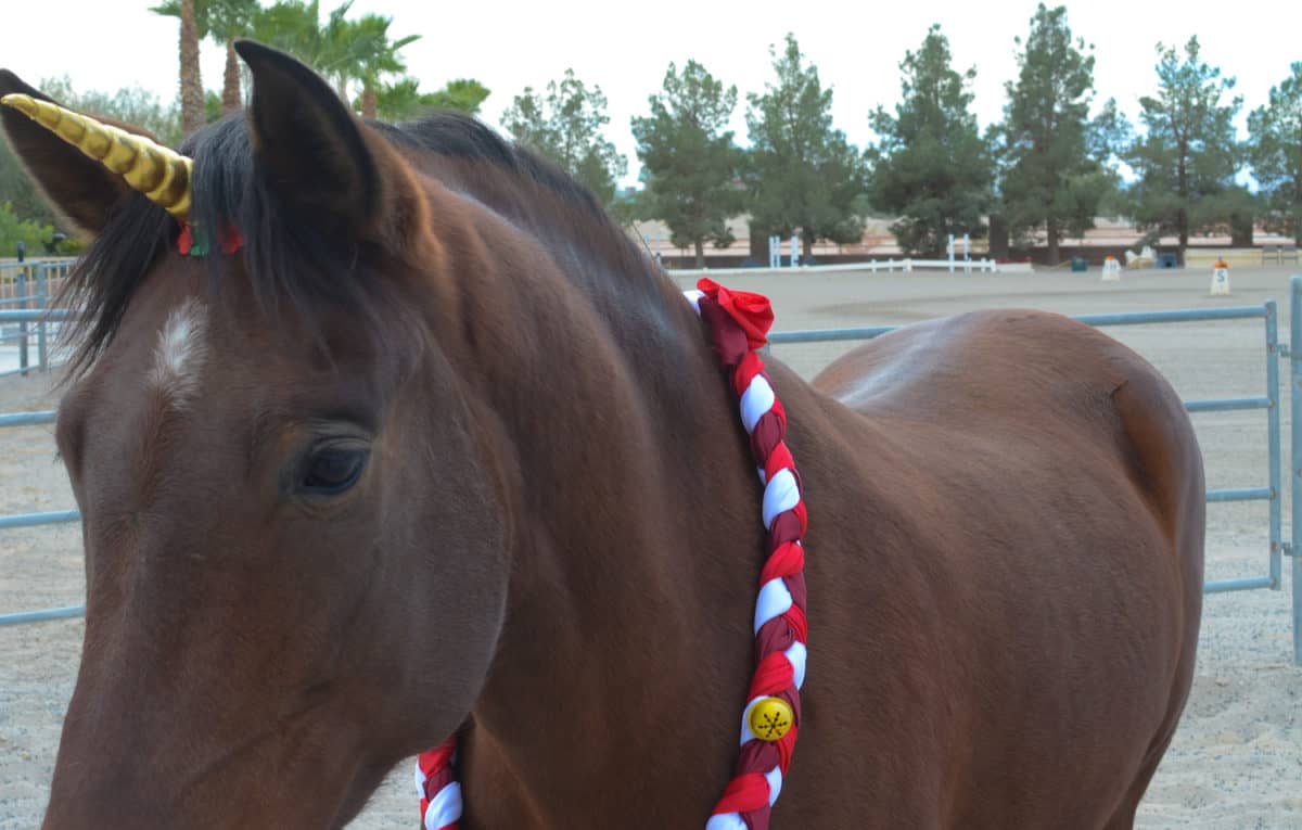 Christmas Neck Wreath