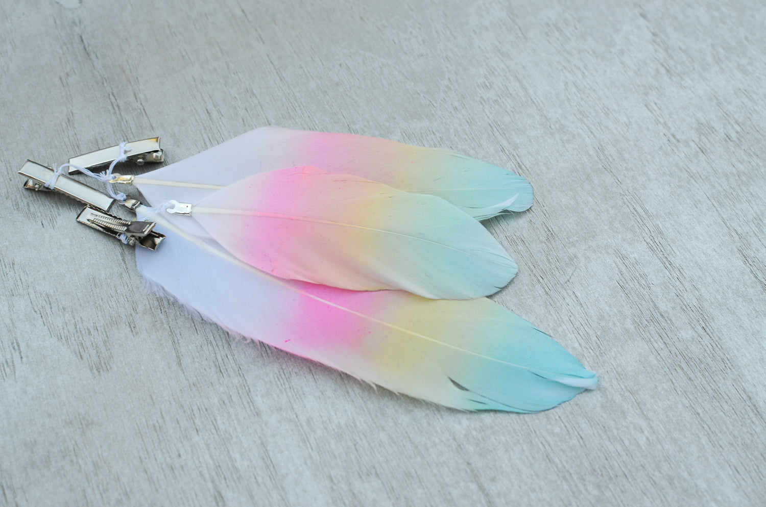 Mane Feathers
