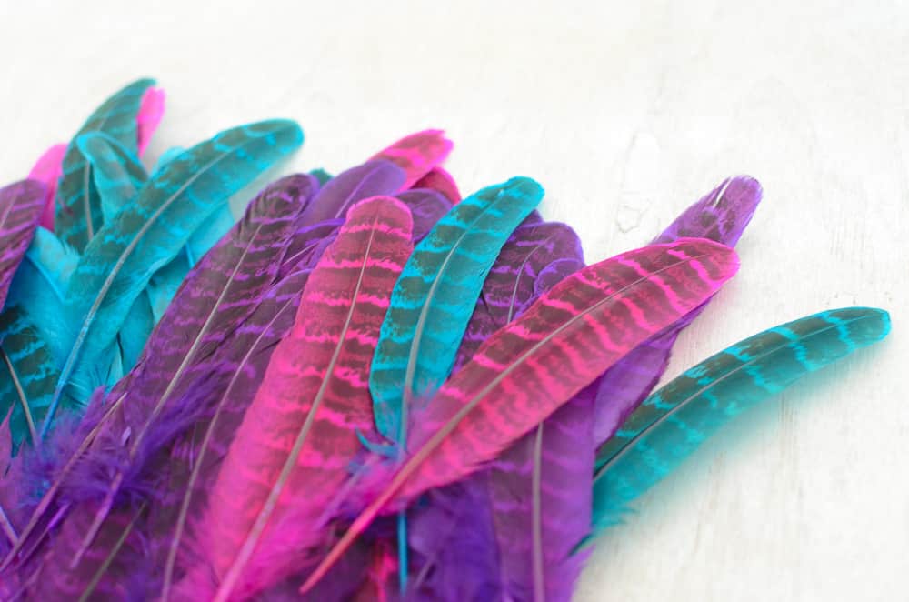 Mane Feathers