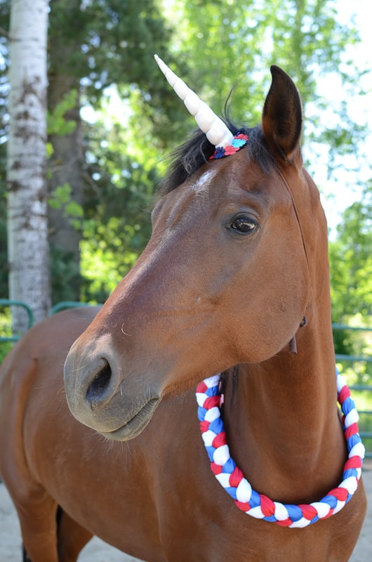 Red, White & Blue Neck Wreath