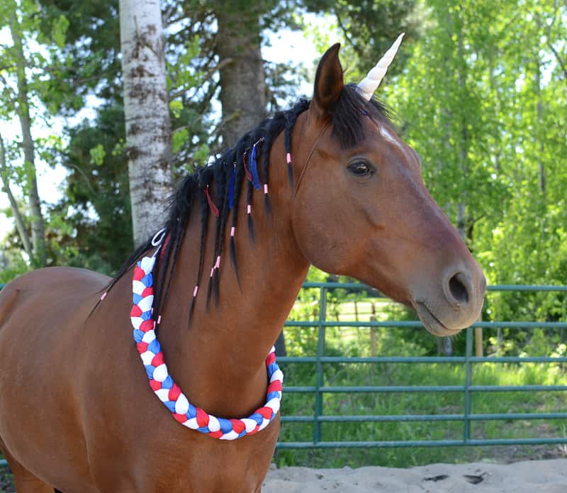 Red & Blue Mane Feathers - SET OF 6