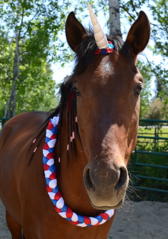 Red, White & Blue Neck Wreath