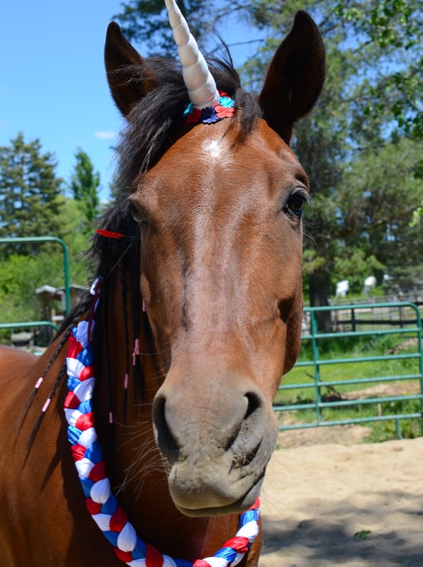 Red, White & Blue Neck Wreath