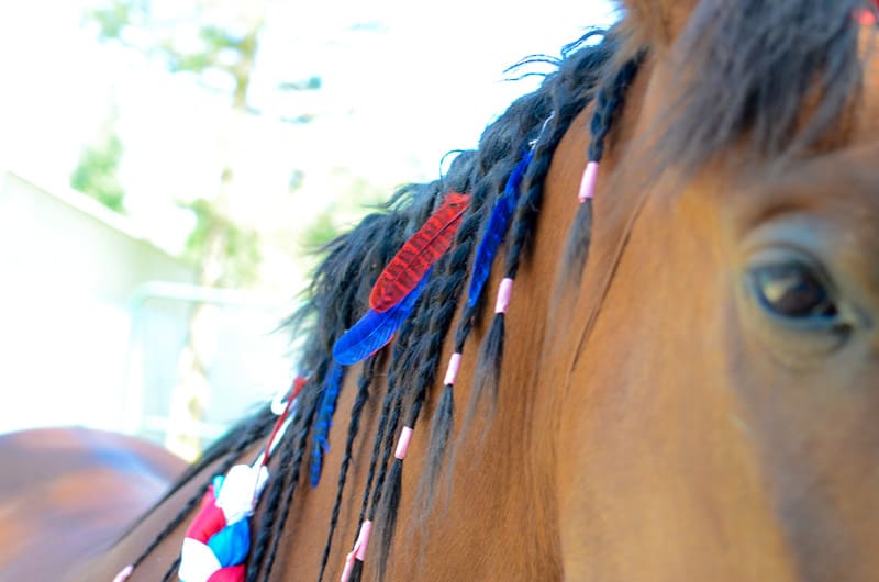 Red & Blue Mane Feathers - SET OF 6