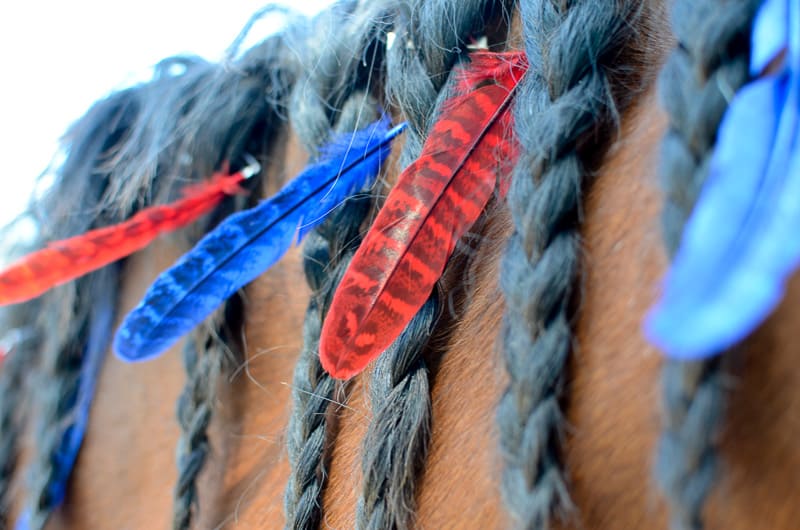 Red & Blue Mane Feathers - SET OF 6