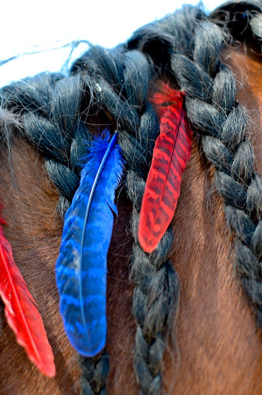 Red & Blue Mane Feathers - SET OF 6