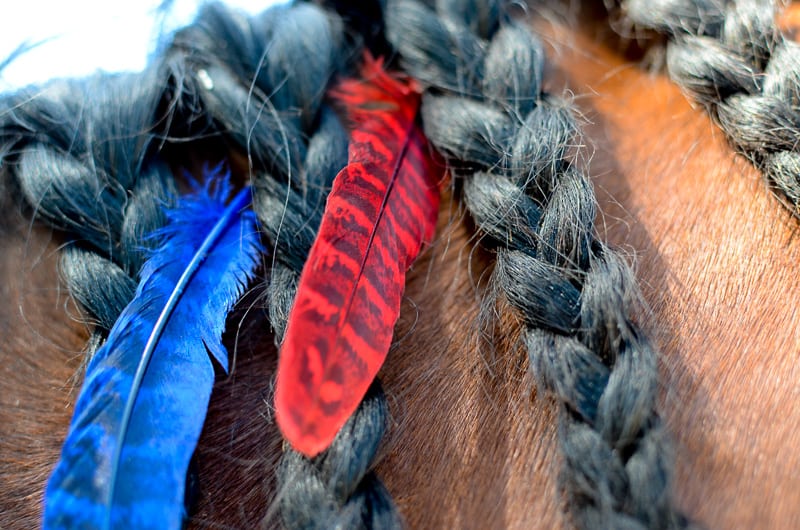 Red & Blue Mane Feathers - SET OF 6
