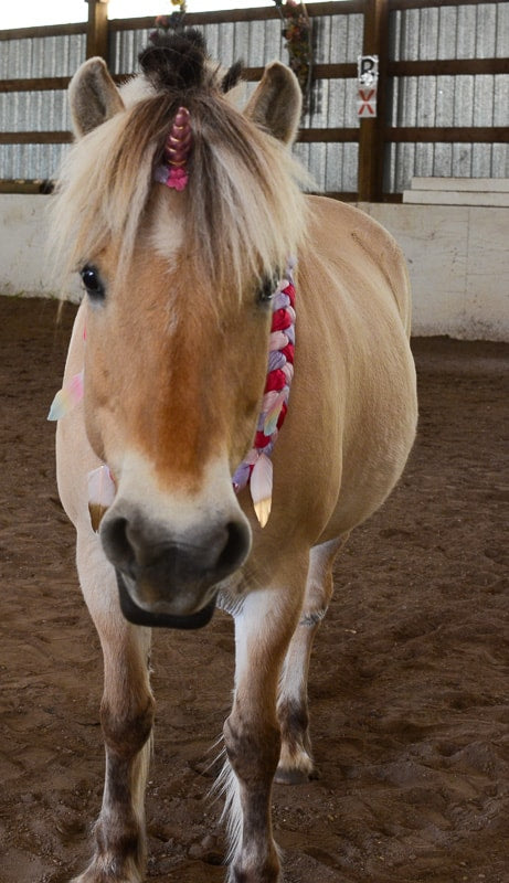 Unicorn Deluxe Kit - Pony/Mini Size