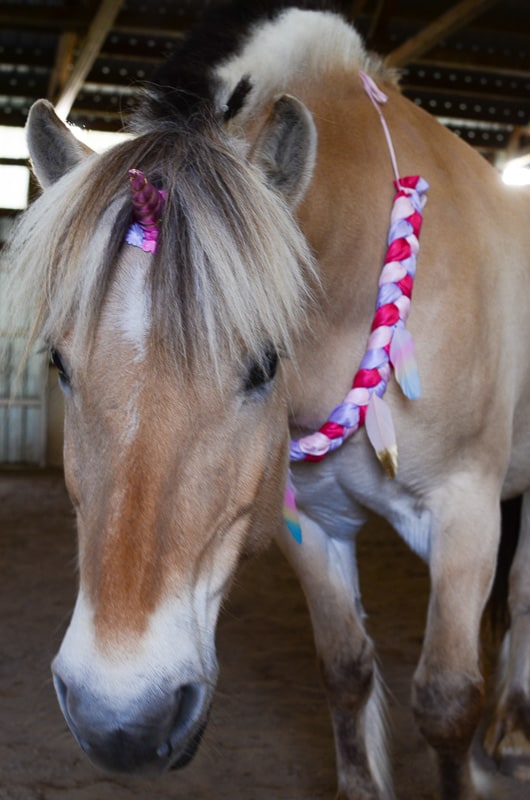 Unicorn Deluxe Kit - Pony/Mini Size