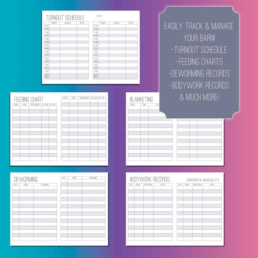 The Barn Manager's Log Book - PDF