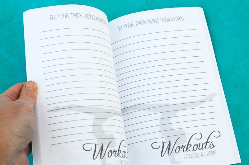 The Trick Rider's Journal