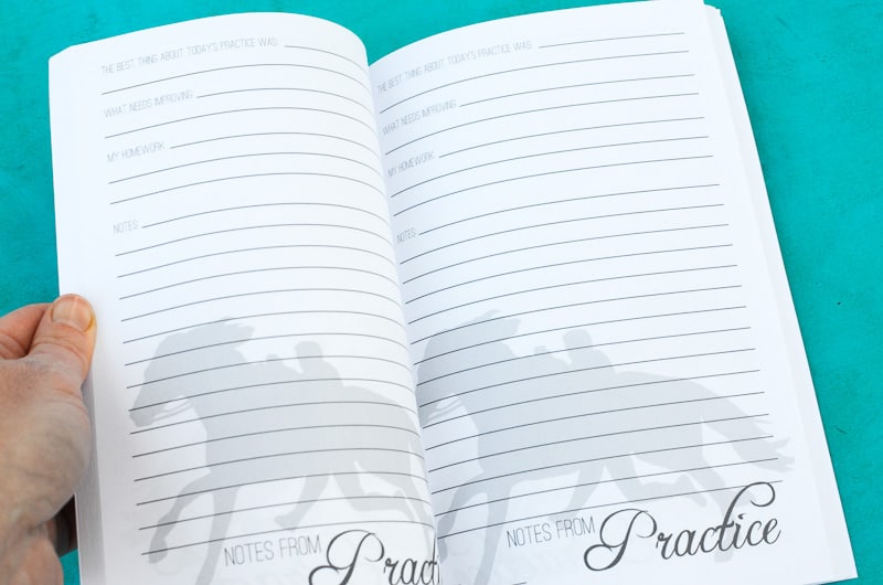 The Trick Rider's Journal