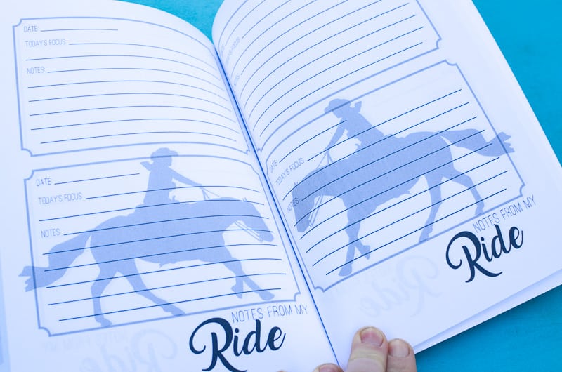 The Reiner's Journal