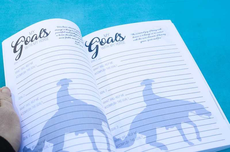 The Reiner's Journal