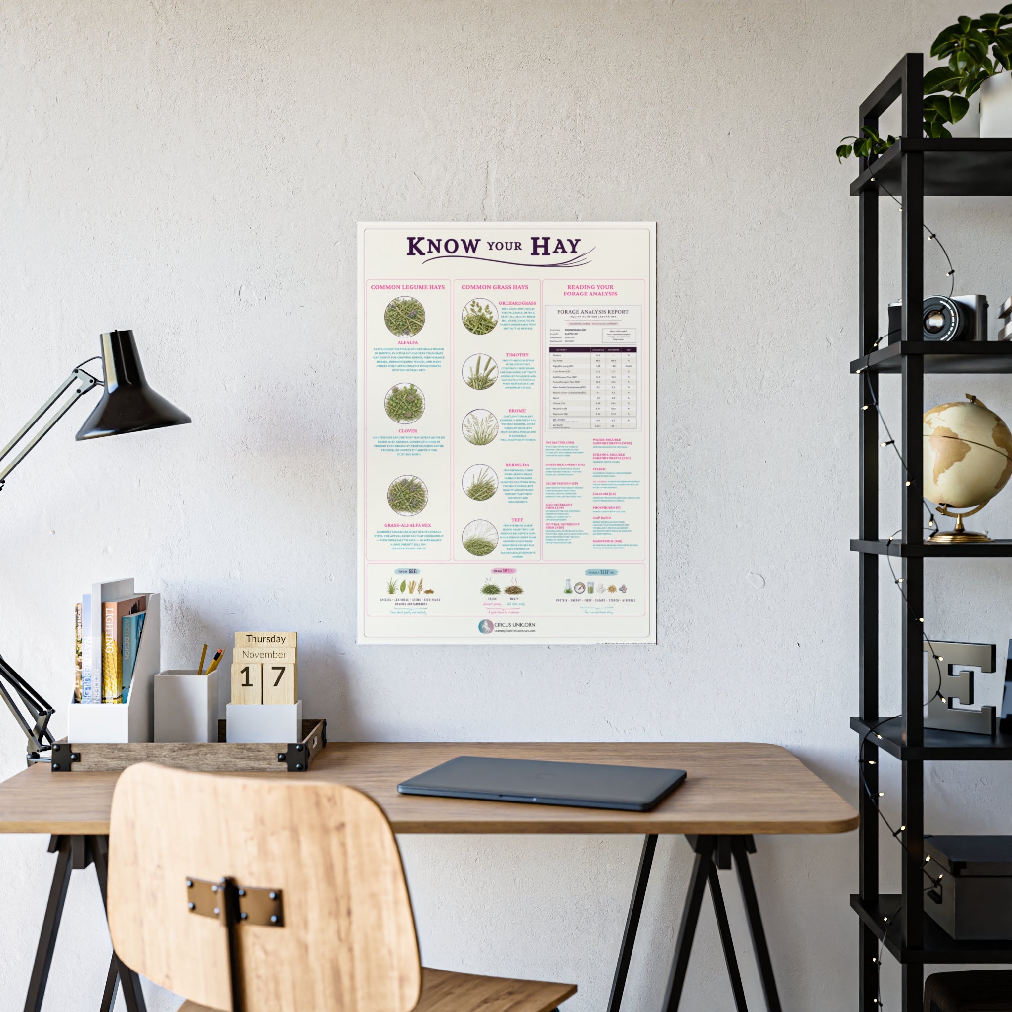 Know Your Forage Educational Horse Poster