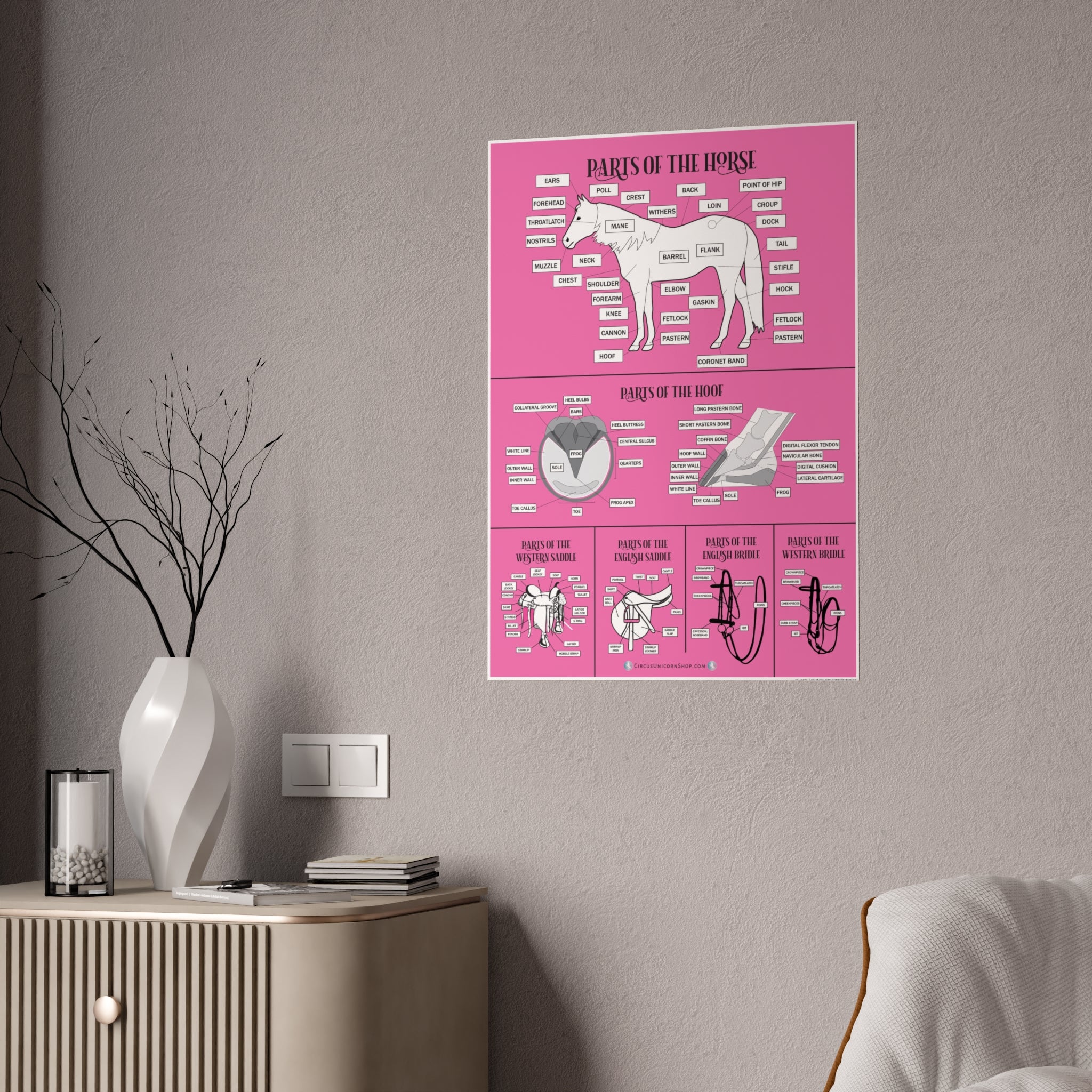 PINK Parts of the Horse Poster
