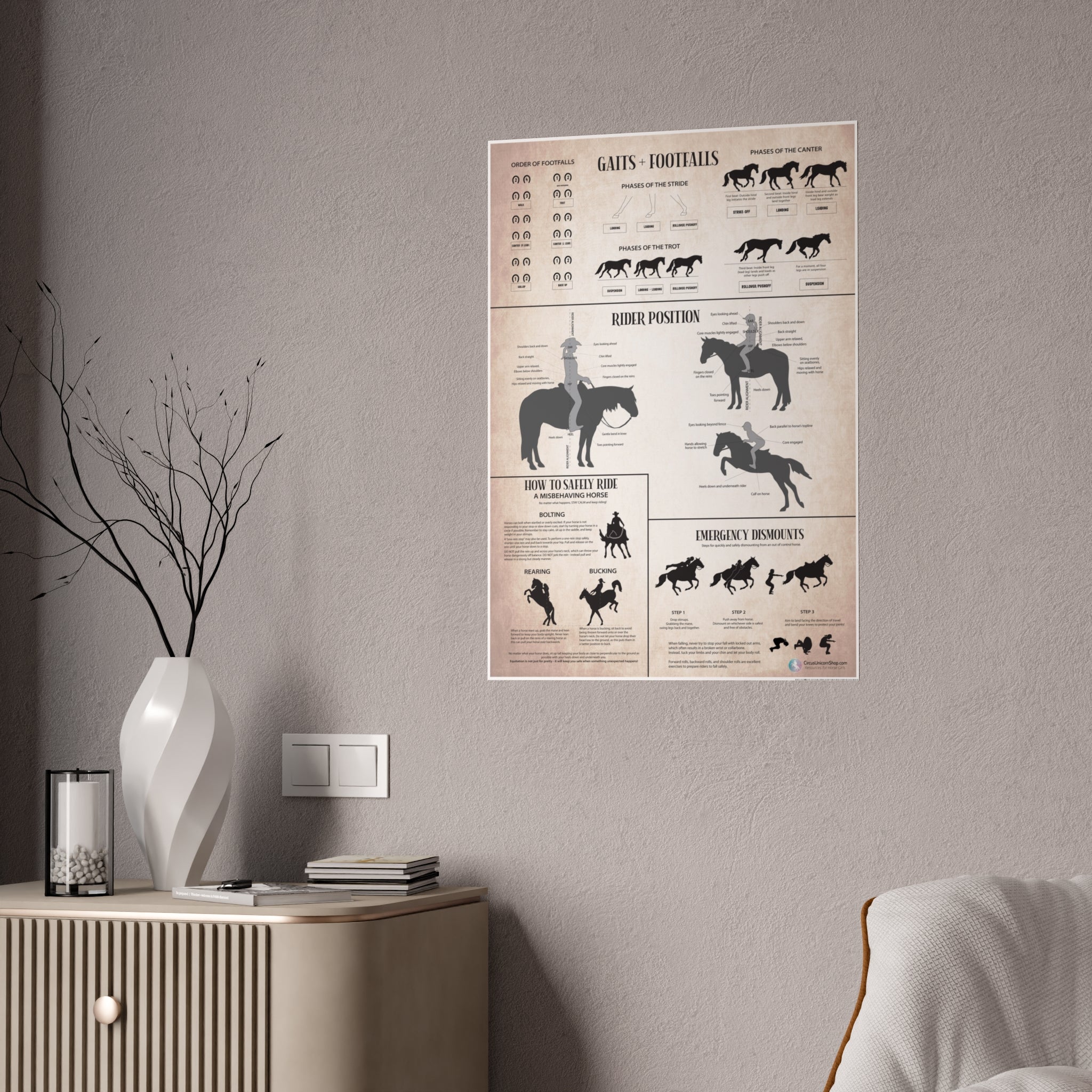 Gaits, Rider Position, & Safety Horse Poster