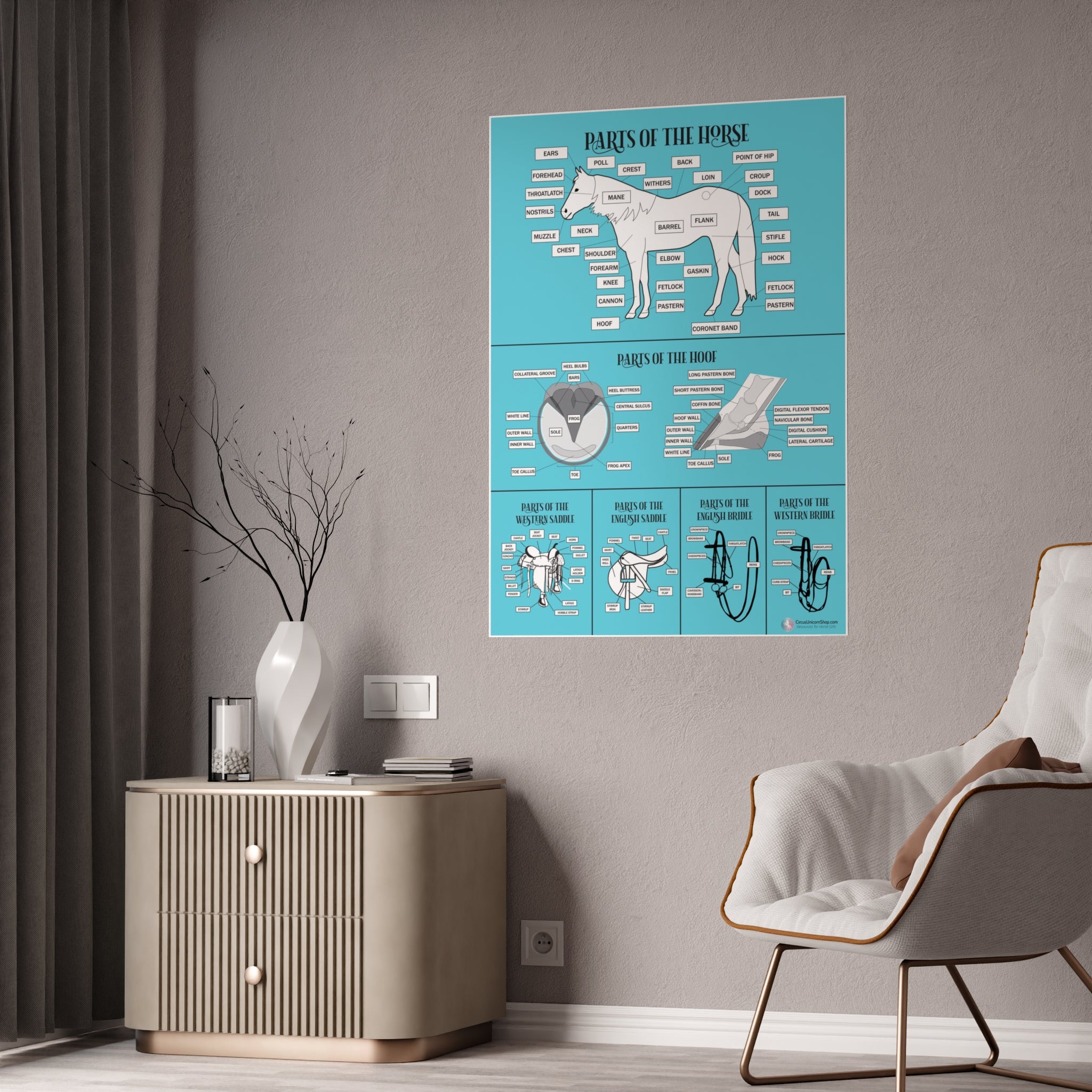 Parts of the Horse Poster (Blue)
