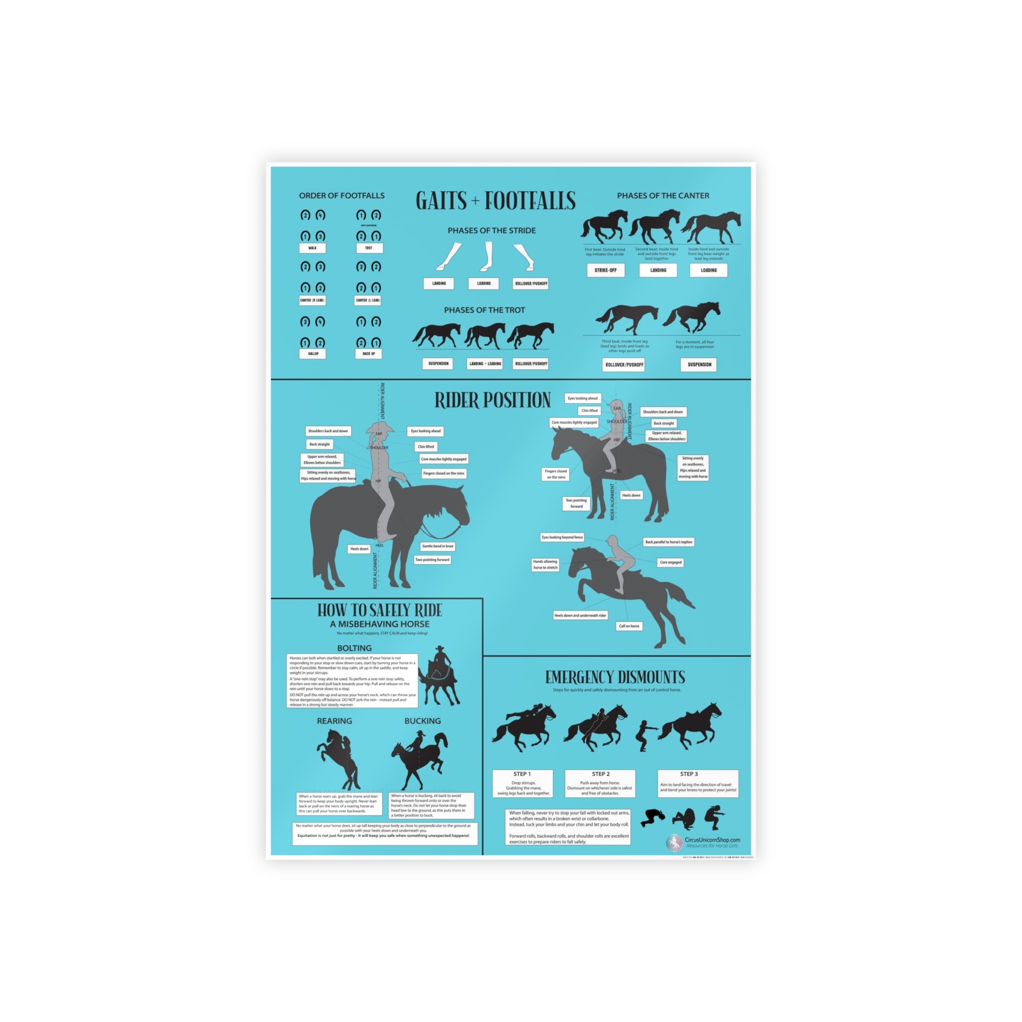 Gaits, Rider Position, & Safety Horse Poster (Blue)