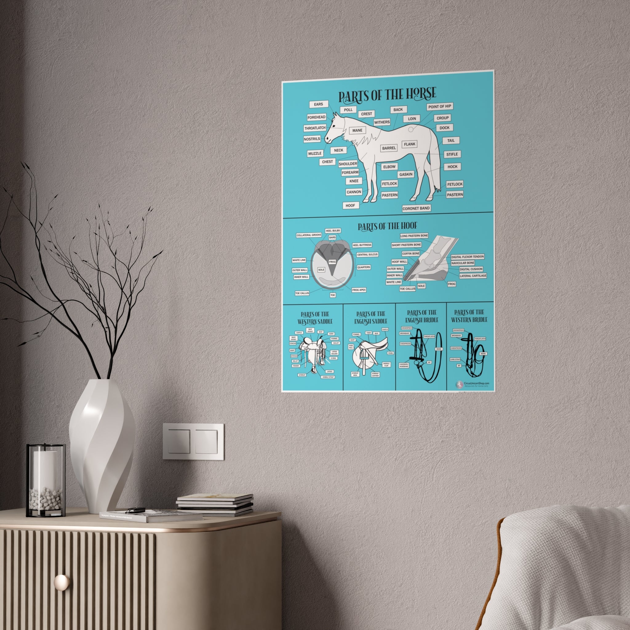 Parts of the Horse Poster (Blue)
