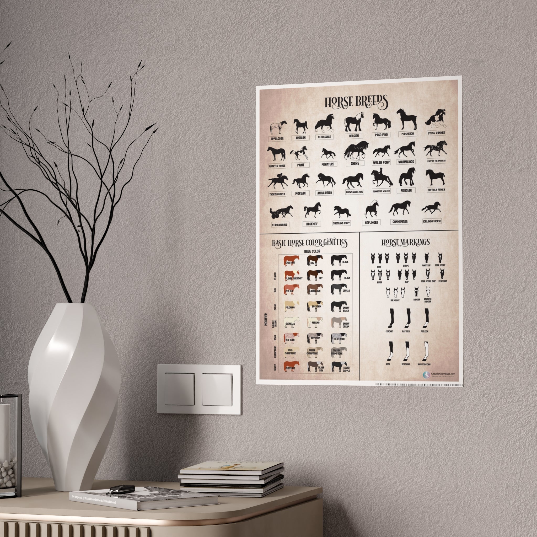 Breeds, Colors, & Markings Horse Poster (Natural)