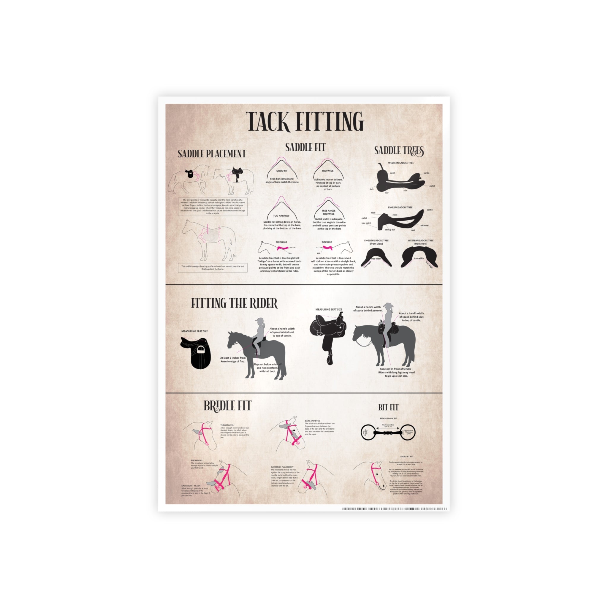 Bridle and Saddle Fit Poster