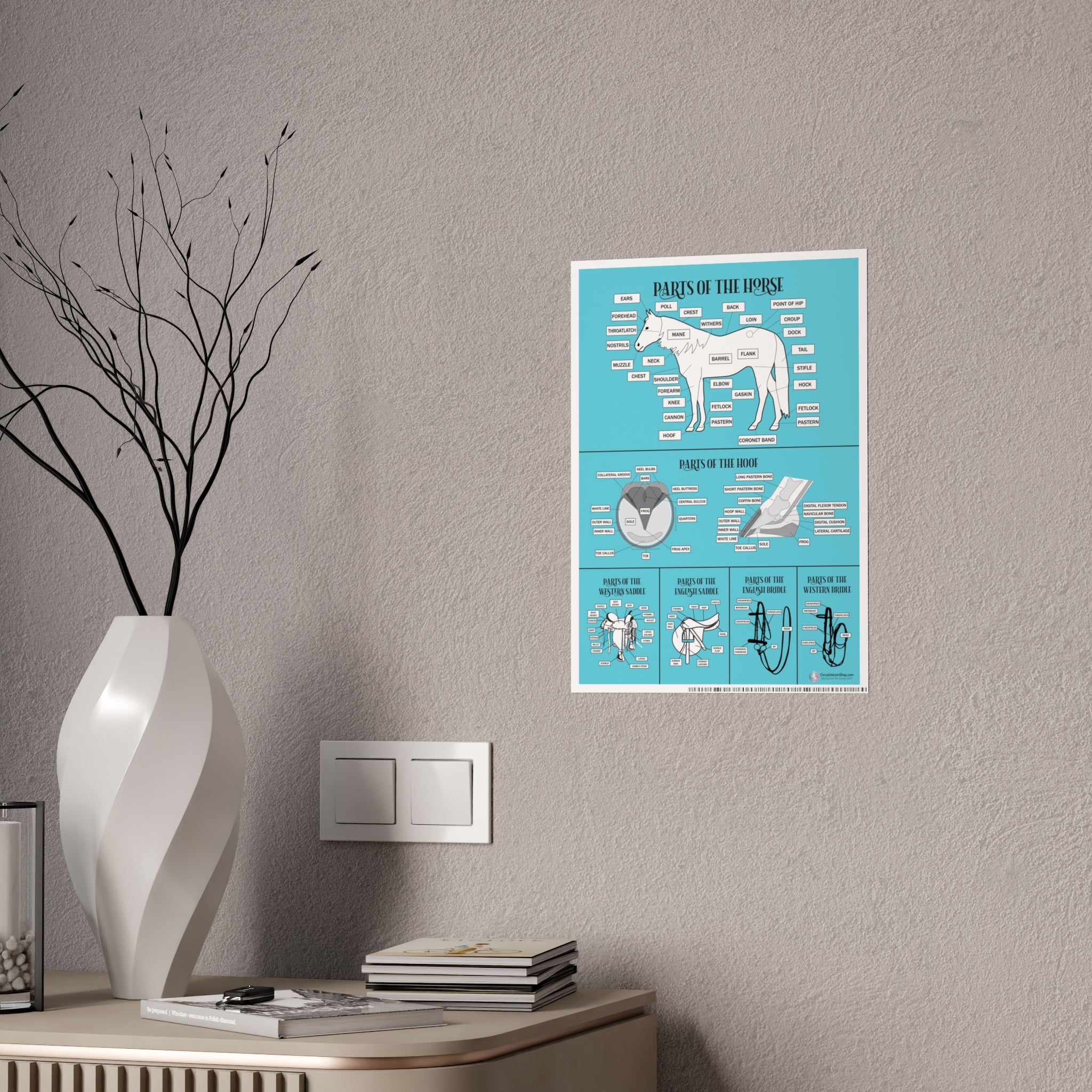 Parts of the Horse Poster (Blue)