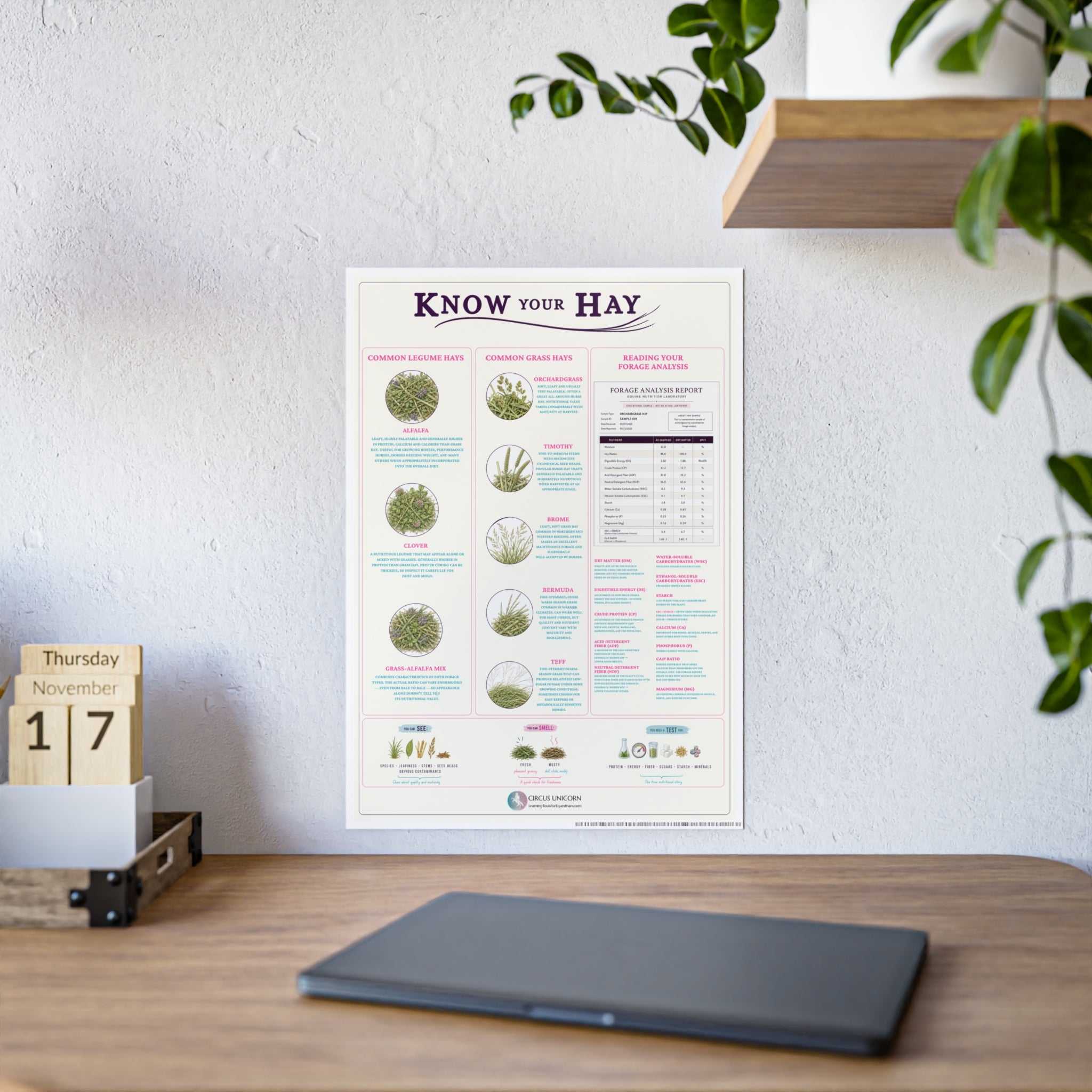 Know Your Forage Educational Horse Poster