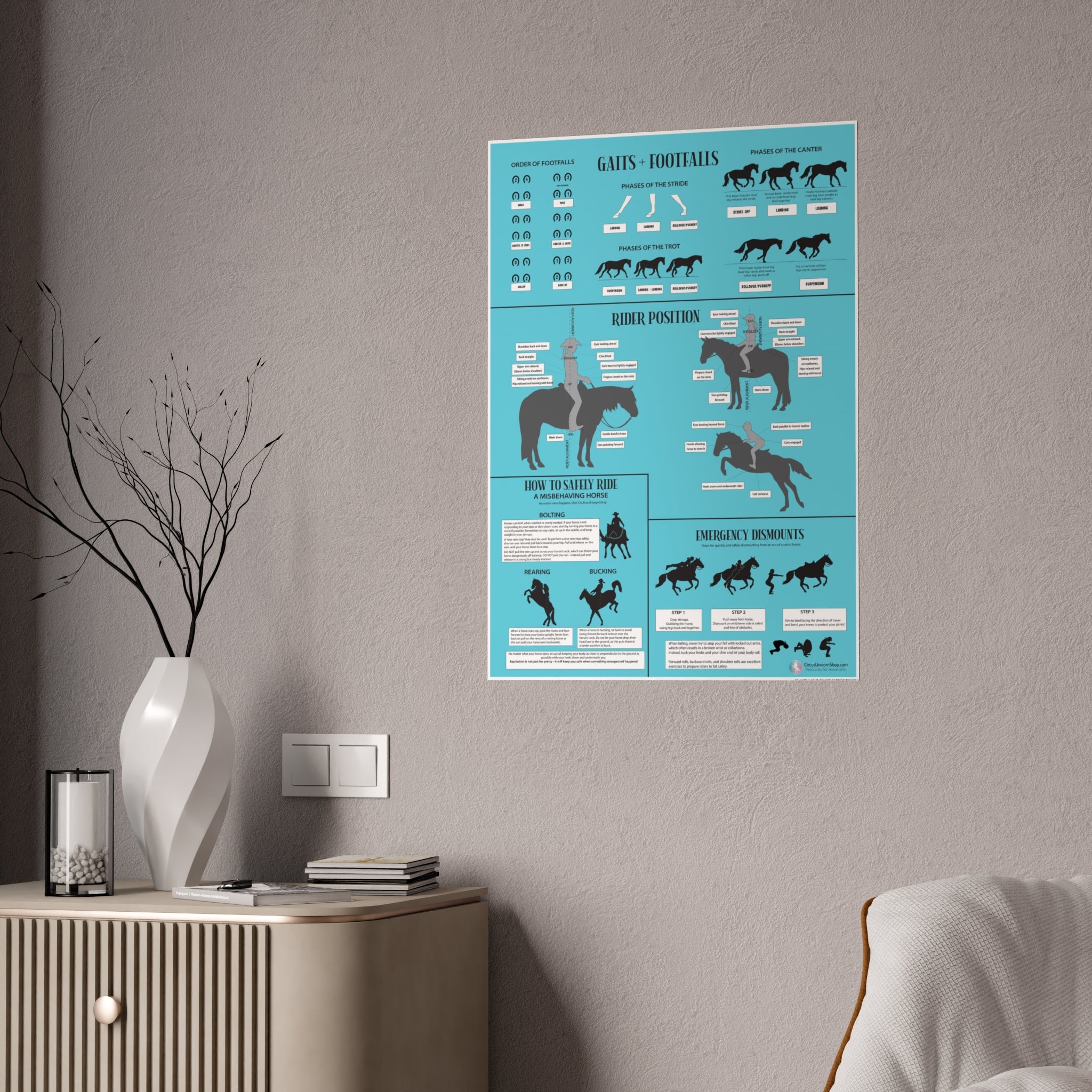 Gaits, Rider Position, & Safety Horse Poster (Blue)