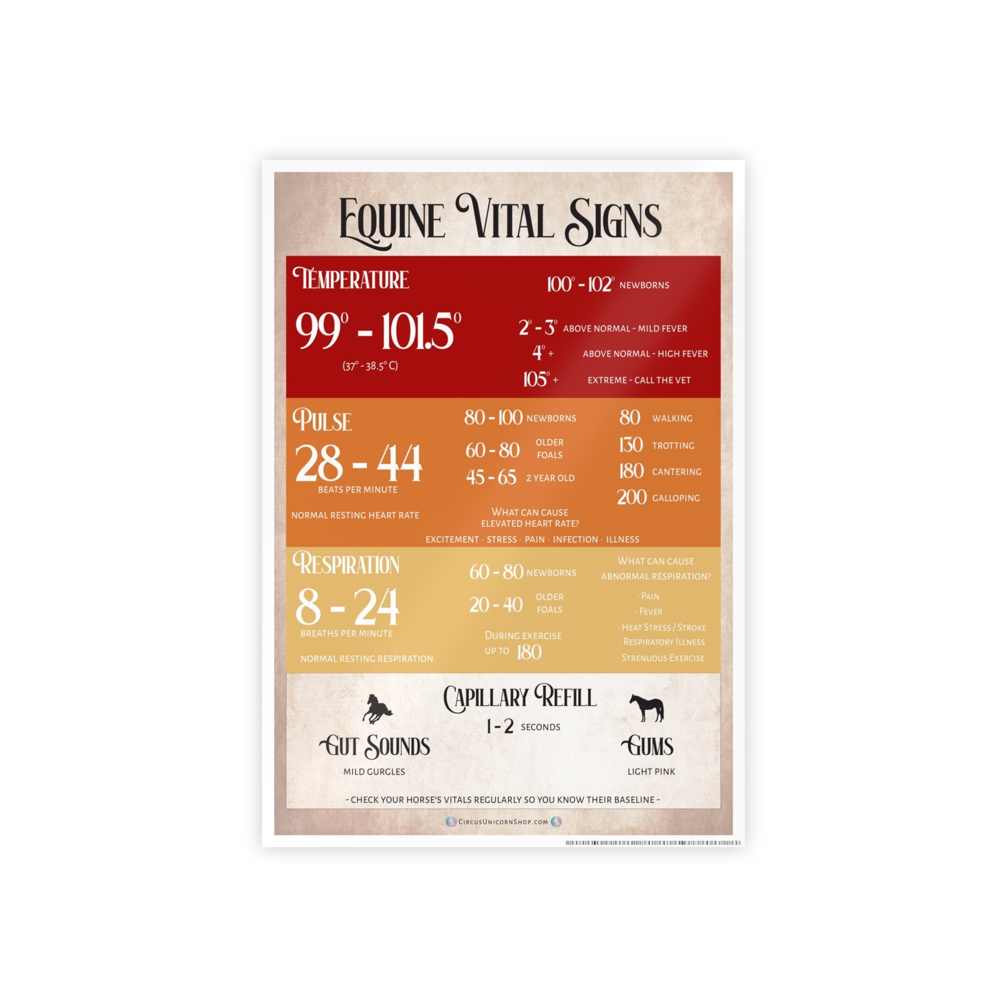Equine Vital Signs Poster (TPR)