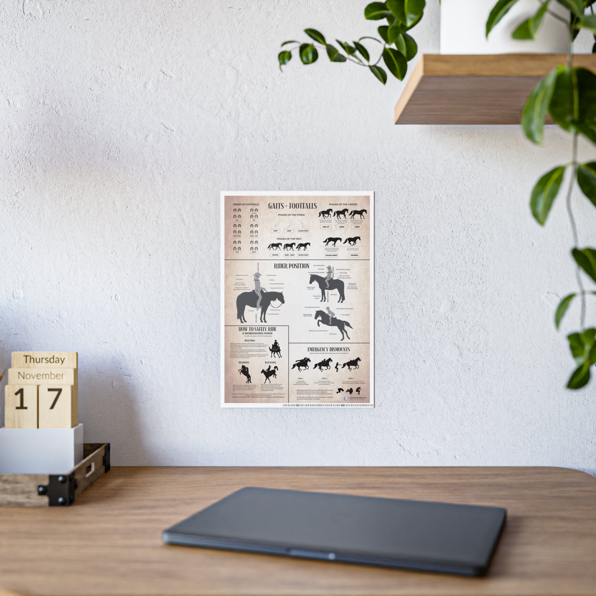 Gaits, Rider Position, & Safety Horse Poster