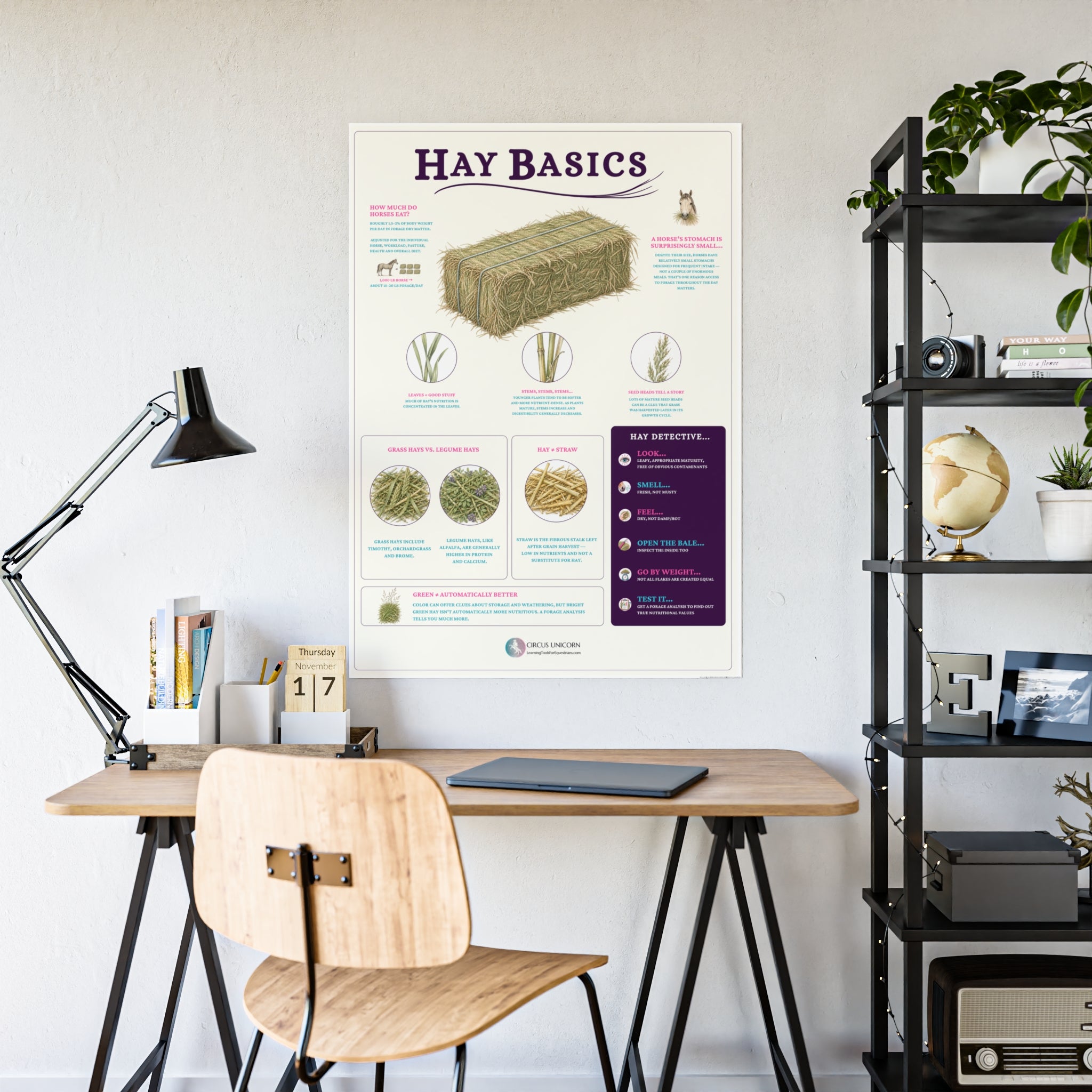 Hay Basics Educational Horse Poster