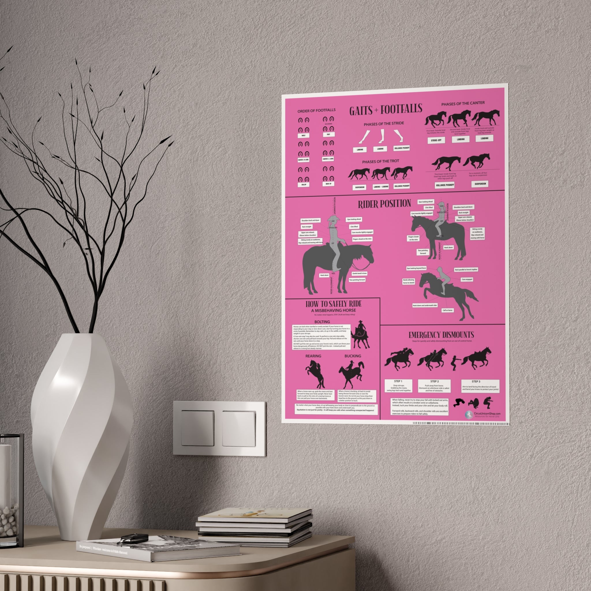 Gaits, Rider Position, & Safety Horse Poster