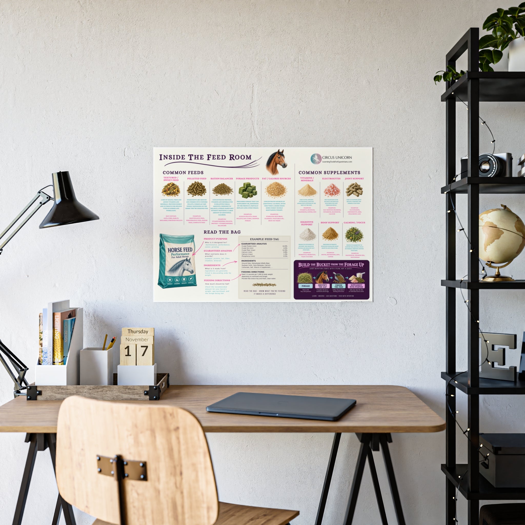 Inside the Feed Room Educational Horse Poster