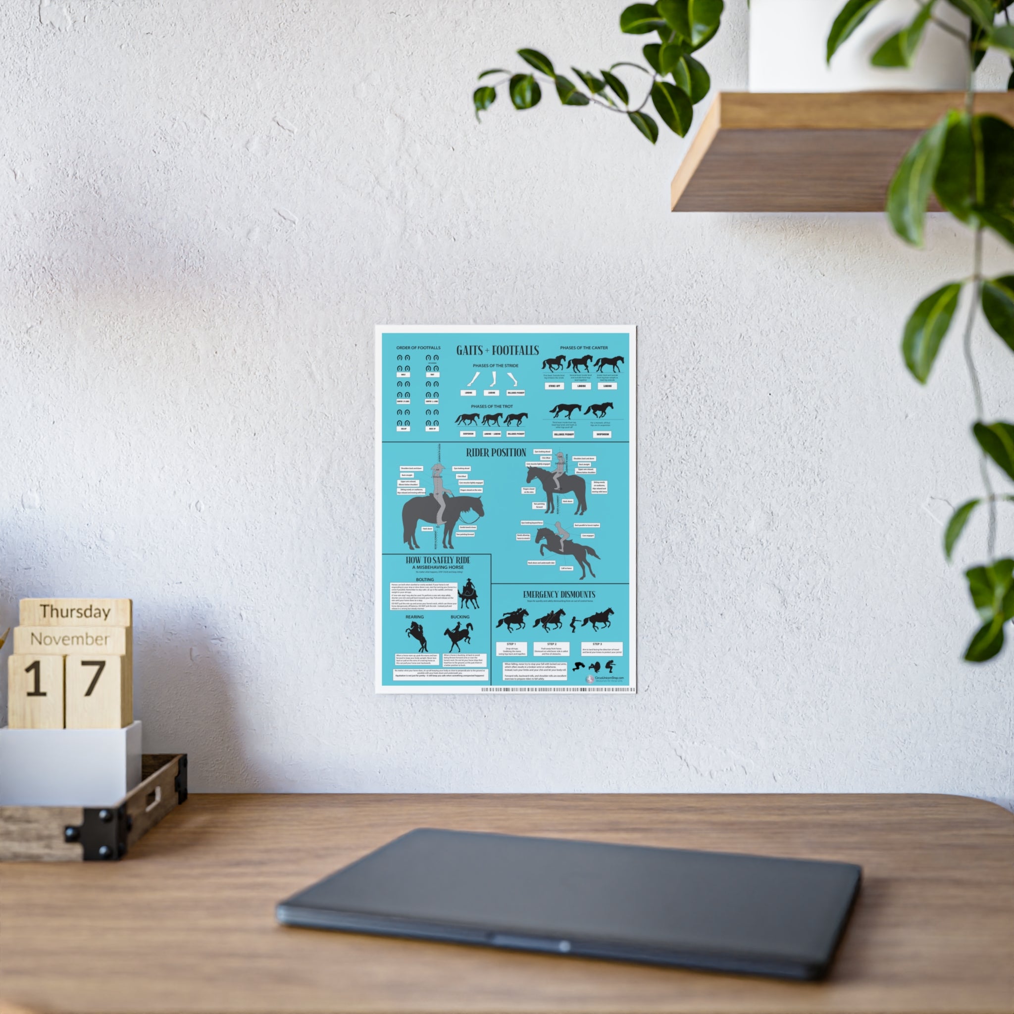 Gaits, Rider Position, & Safety Horse Poster (Blue)