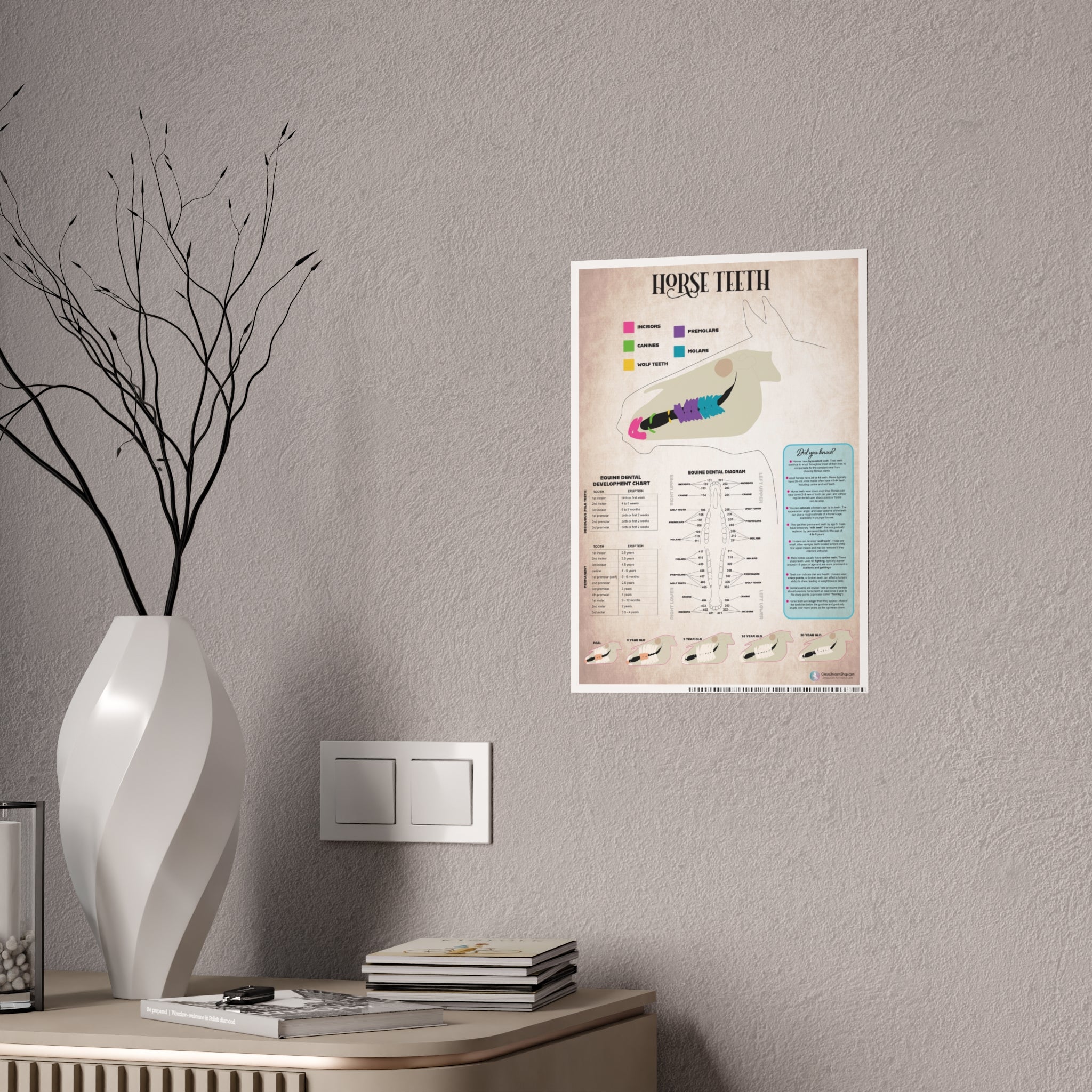 Horse Teeth Poster