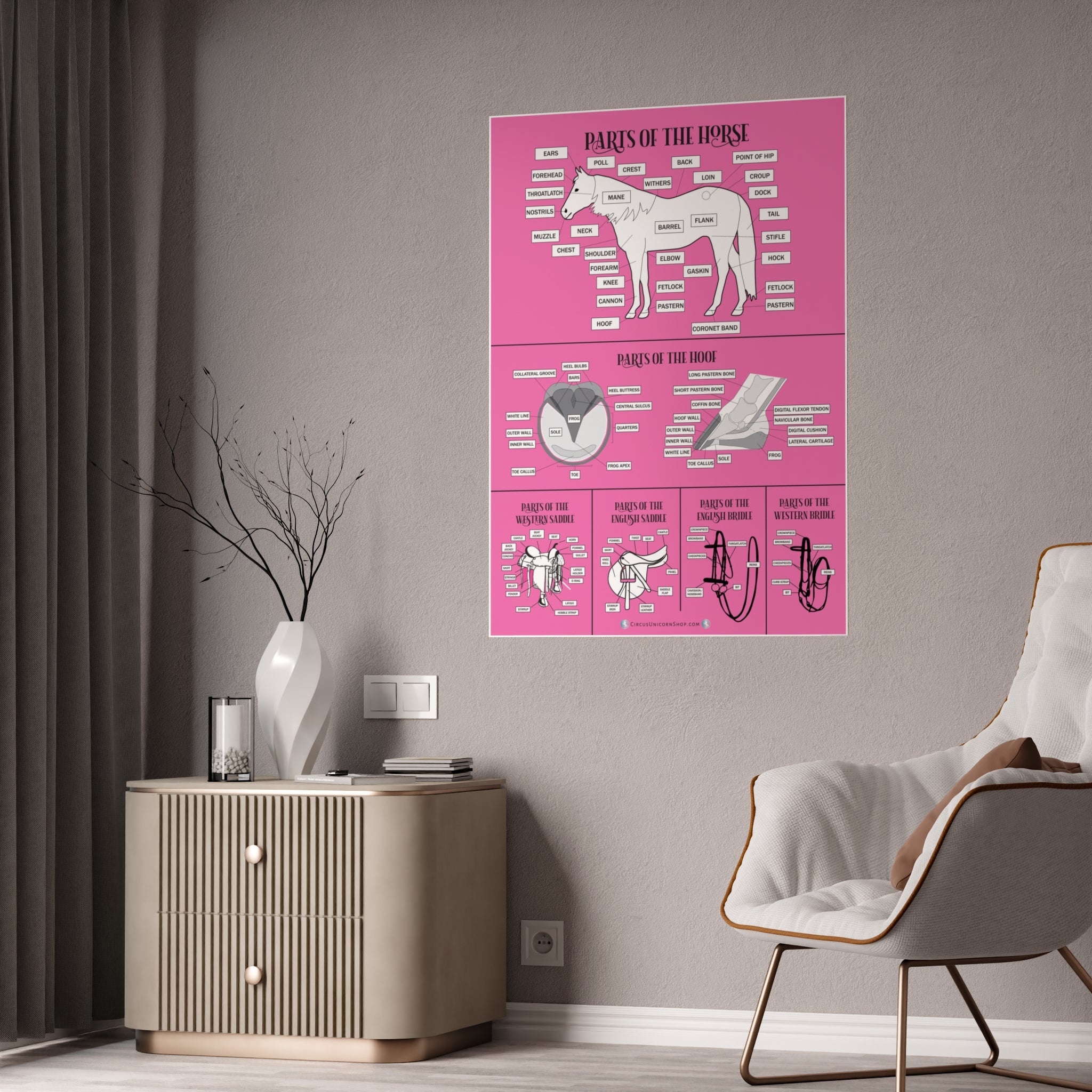 PINK Parts of the Horse Poster