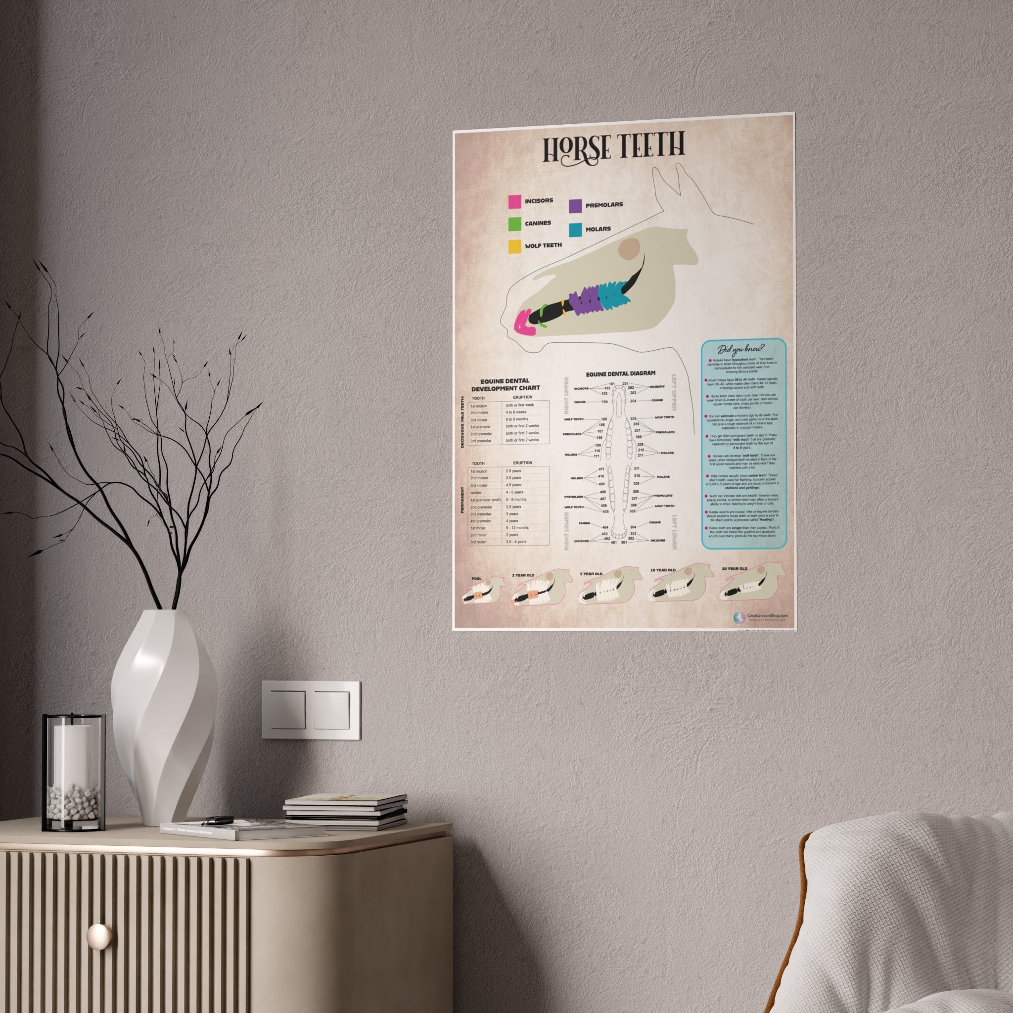 Horse Teeth Poster
