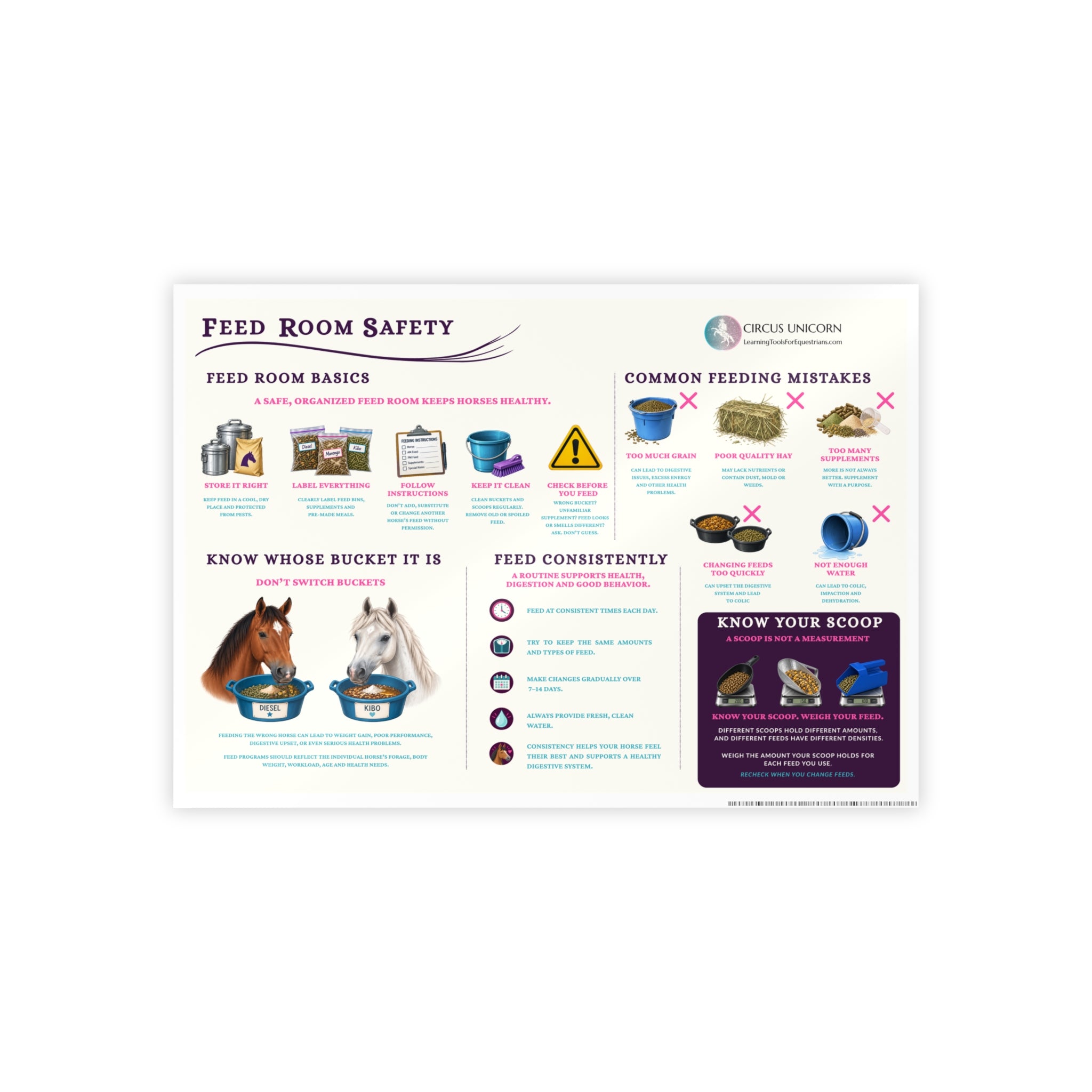 Feed Room Safety Educational Horse Poster