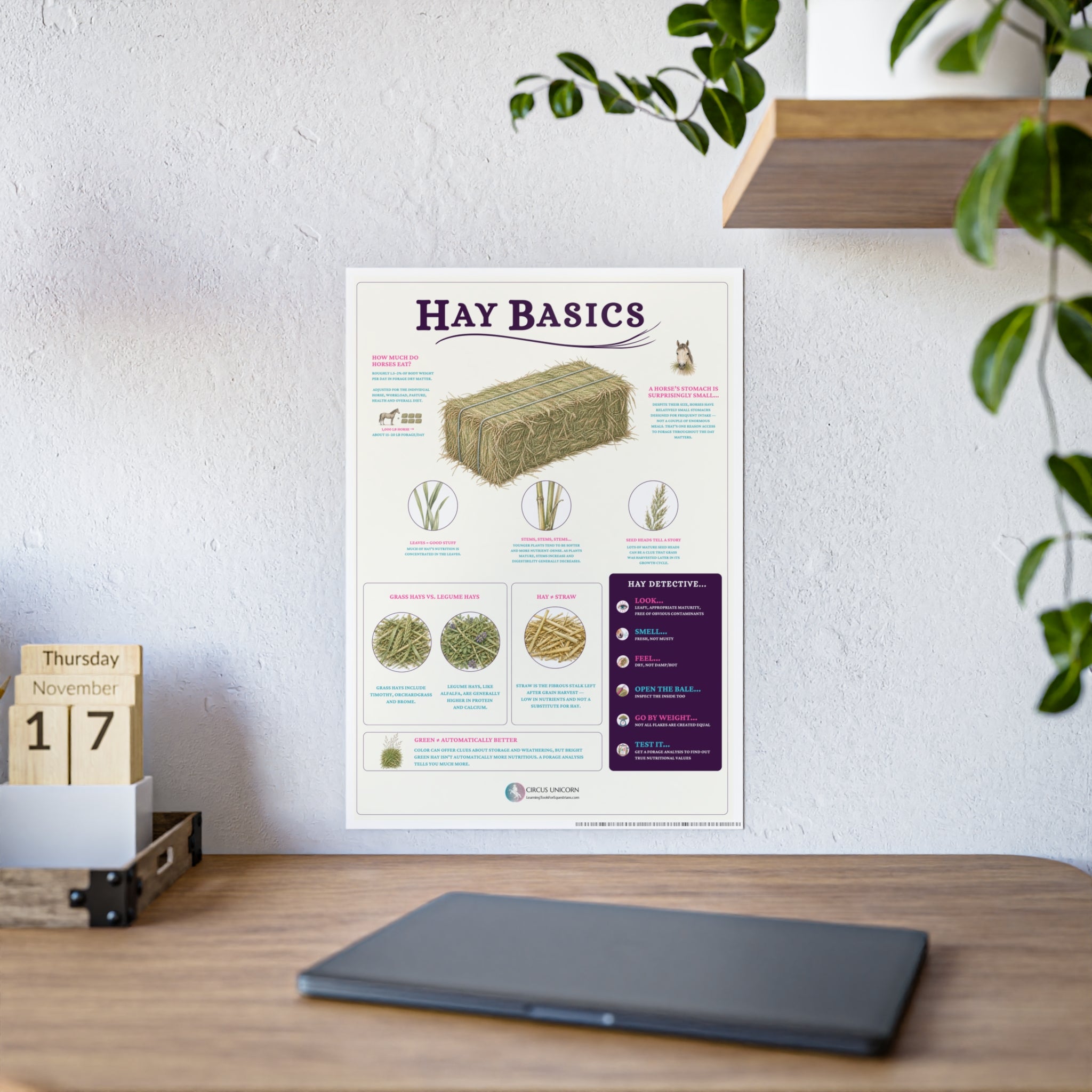 Hay Basics Educational Horse Poster